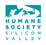 HSSV